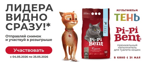 Розыгрыш Pi-Pi Bent и мультфильм "Тень"